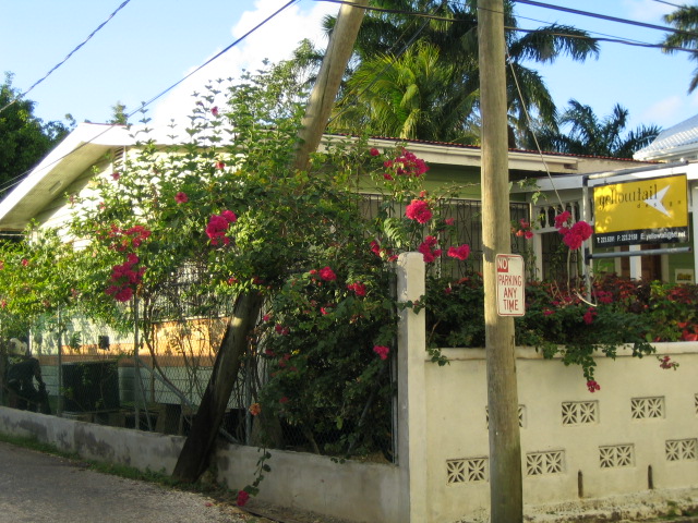 Belize City (2006)